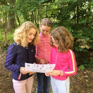 Zomerkamp gps-tocht
